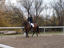IMG_0421-155_web